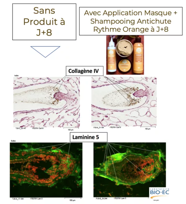 Masque Oxygénant Rythme Orange – Image 4