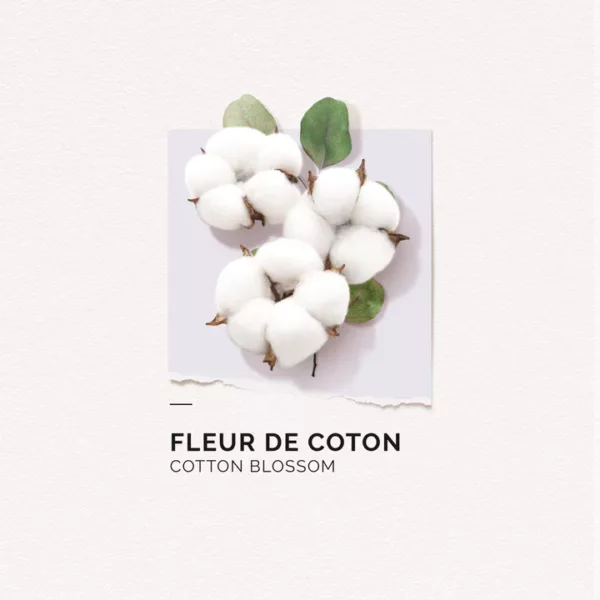 Eau de Parfum Fleur de Coton – Image 6